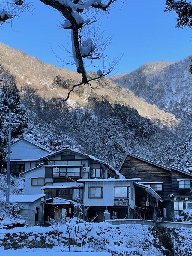 Day Trip from Tokyo to See the Snow Monkeys 🐒