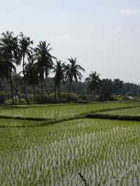 Hampi: Where Ruins Meet Lush Landscapes