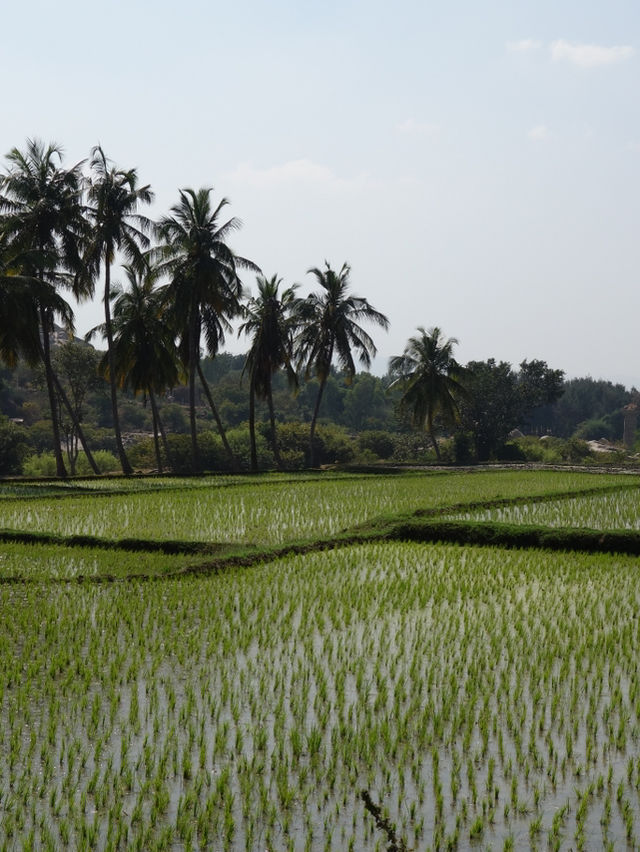 Hampi: Where Ruins Meet Lush Landscapes