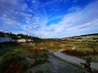 Cherry Hinton Chalk Pits – Nature’s Quiet Corner in Cambridge