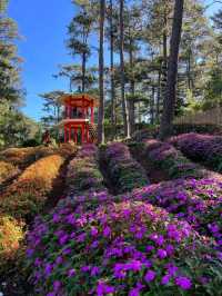 Baguio City: Enjoy a 2-day itinerary at the summer capital of Philippinse!