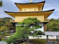 Beautiful Japan in the autumn.