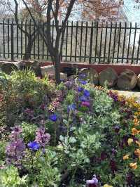Best of spring in Madrid
