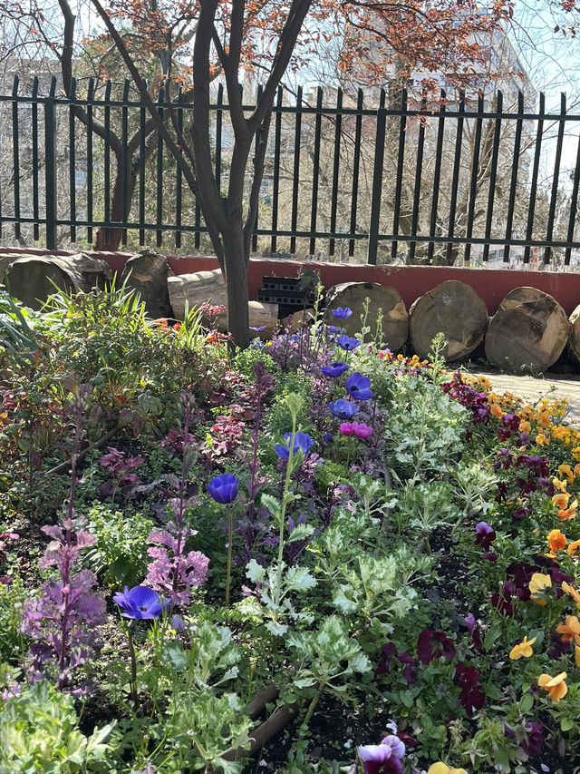 Best of spring in Madrid