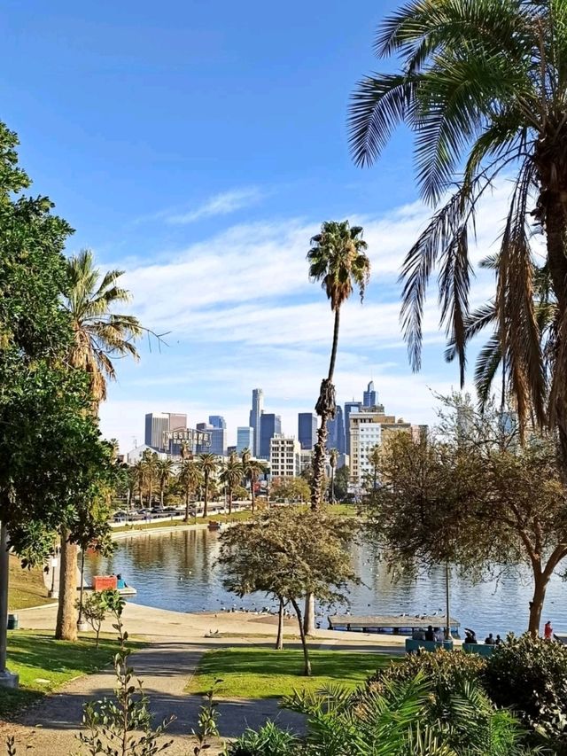 LA afternoons: culture, palm trees, and golden hour glow