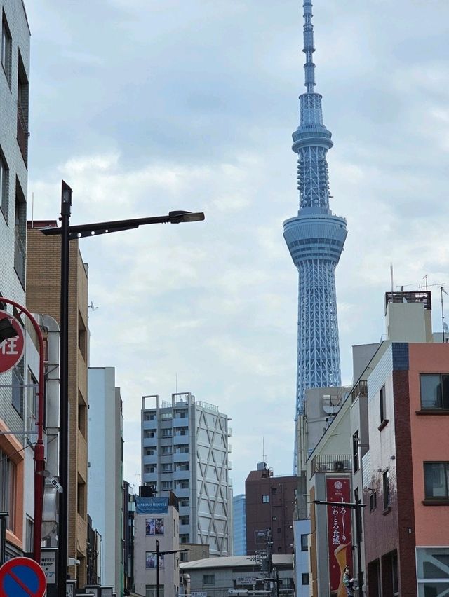 🗼 Tokyo Skytree: Is It Worth Going Up?