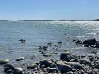 A Summer Budget Walk Through Turku: Castle, City, and Sea