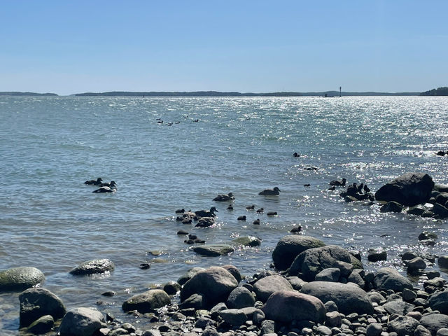 A Summer Budget Walk Through Turku: Castle, City, and Sea