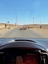 🚗 Ride-Sharing in Amman & Getting to Petra on a Budget 🏛️🧭