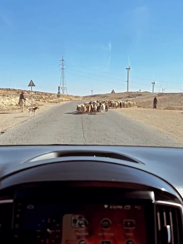🚗 Ride-Sharing in Amman & Getting to Petra on a Budget 🏛️🧭