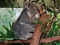 Memorable Sydney CBD outings
