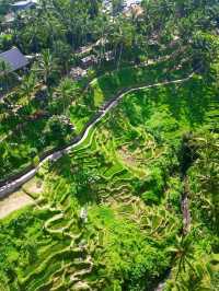 Tegallalang Rice Terraces, Bali: A Green Paradise of Harmony and Heritage
