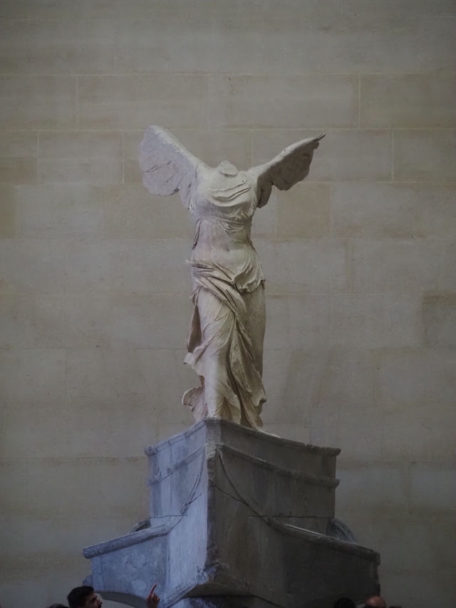 Discover Louvre in Paris