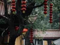 Finding Peace at Lingyin Temple: Hangzhou’s Spiritual Gem