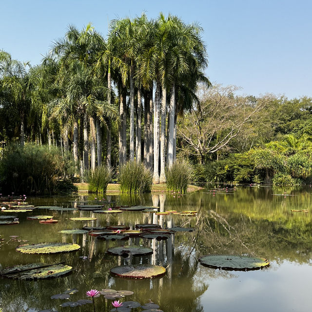 Xishuangbanna: A Tropical "Mediterranean" Escape with Dai Flair