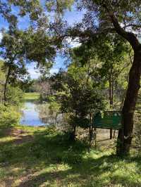 🐘 Yala National Park – A Wildlife Wonderland in Southern Sri Lanka 🌿