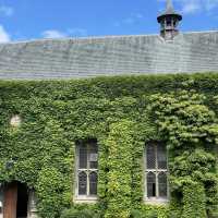 Oxford on a Budget: Colleges, Streets & Hidden Gems