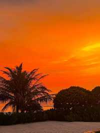  🌴🚤 Escape to Heaven: Unveiling the Charm of Hondaafushi Island Resort
