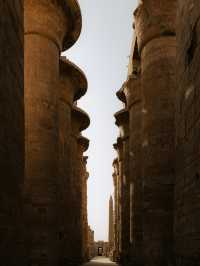 열기구 위에서 본 루크소르의 새벽 🌅