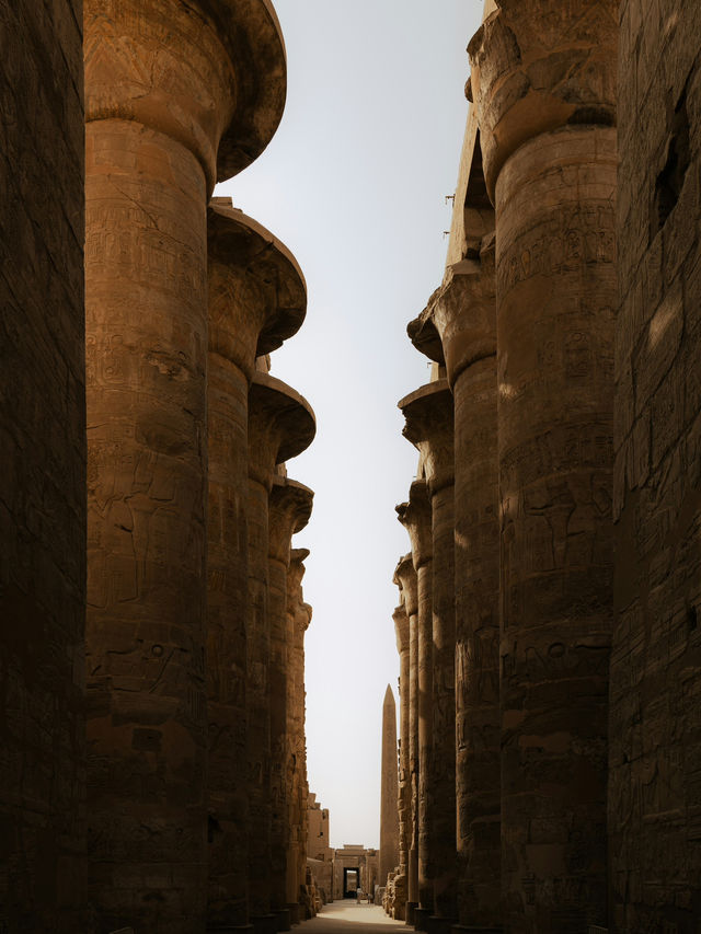 열기구 위에서 본 루크소르의 새벽 🌅