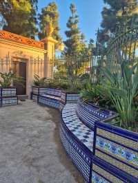 Cloudy Streets Vibes☁️