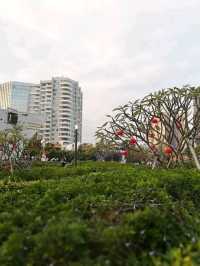 Shekou Sea World 🌟