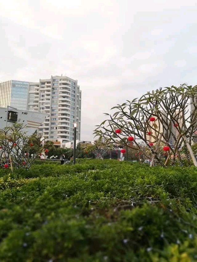 Shekou Sea World 🌟