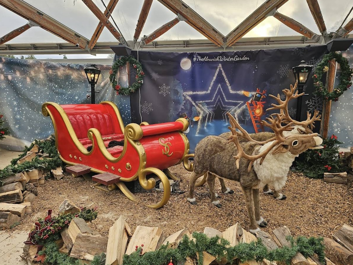 В саду Алнвика Рождество отмечается с изяществом. 🎄✨🌿