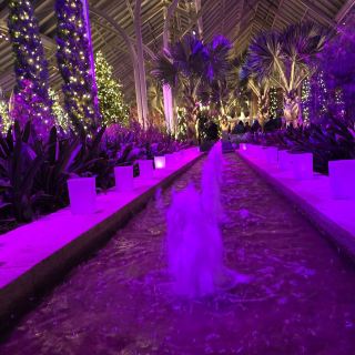 สวนลองวูด