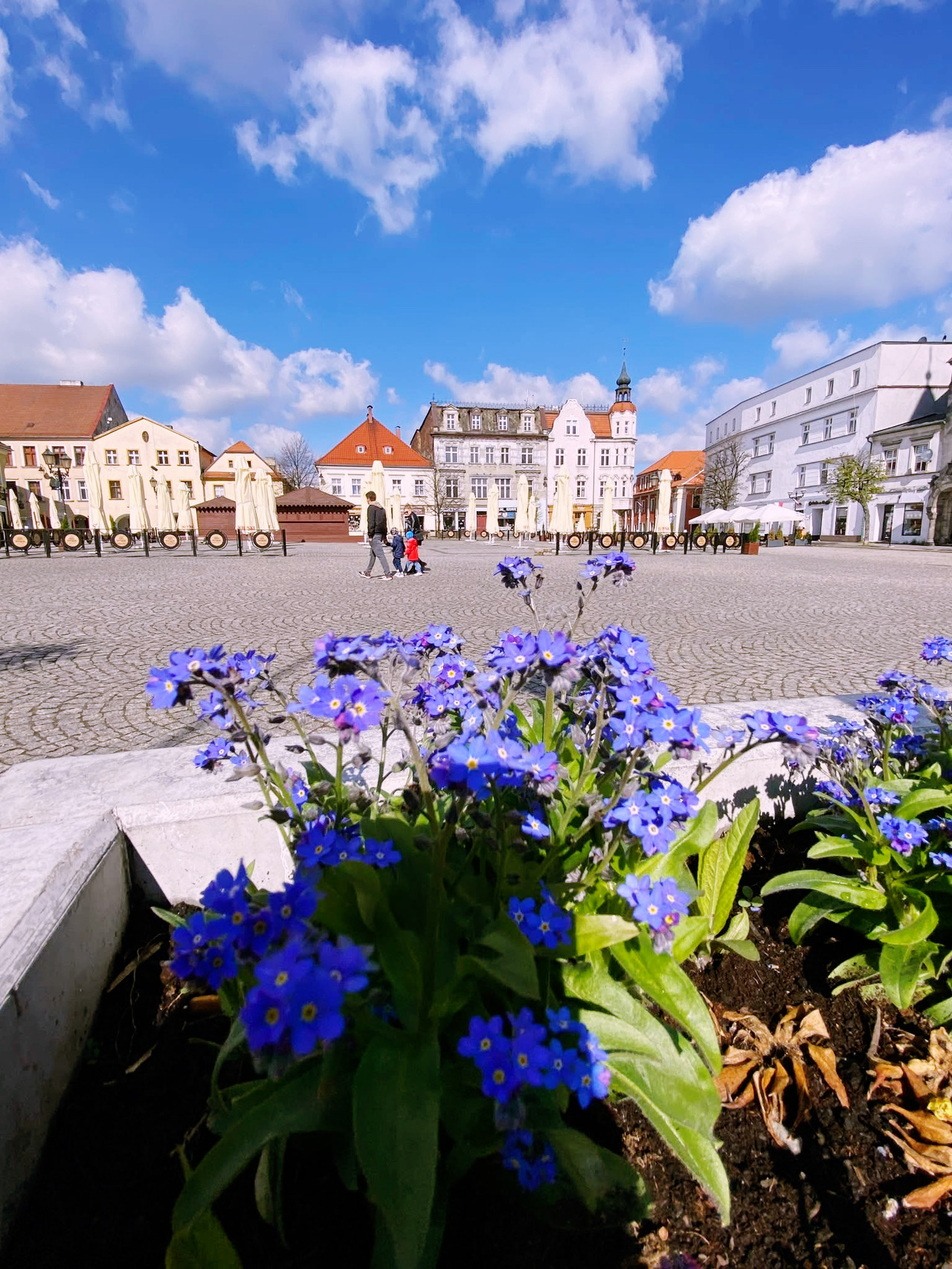 🍽️🌸 Spring Flavors of Tarnowskie Góry: A Culinary Journey 🇵🇱  
