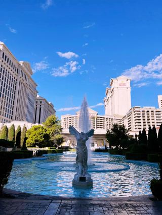 Neon Oasis: The Sustainable Soul of Las Vegas