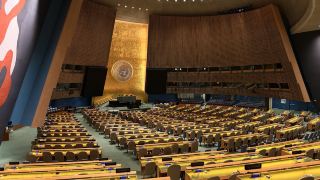 🌎 193 Countries. One Building. Walk Into the UN in NYC! 🇺🇳👀 - for free!
