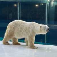 HARBIN POLAR MUSEUM