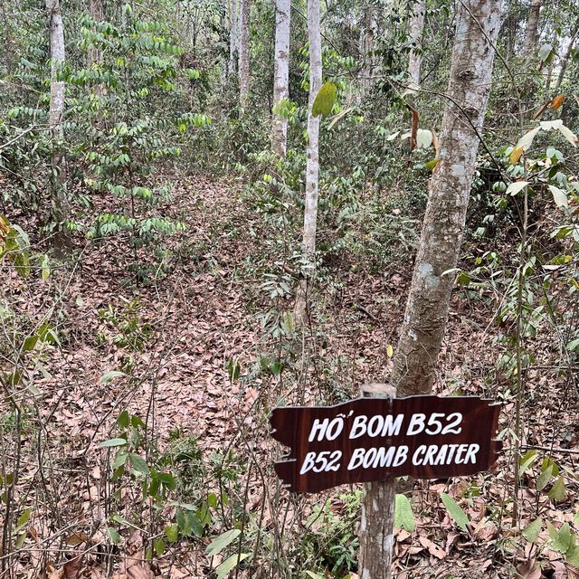 Cu Chi Tunnels Tour