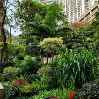 🏯🙏 Pak Tai Temple: A Hidden Gem in Wan Chai 🙏🏯