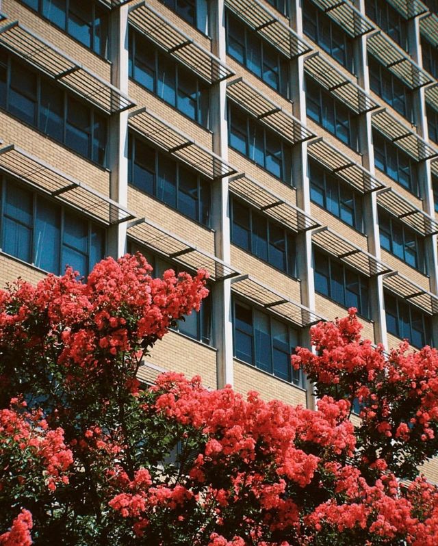 Beautiful University of Melbourne