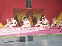 Shaolin Temple-Bucket List ✅