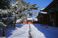 一下雪，哈爾賓文廟就變成了故宮