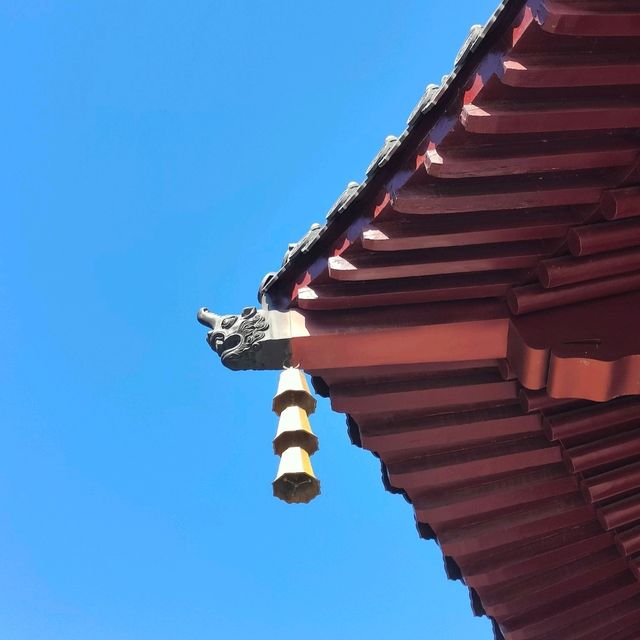 Leifeng pagoda in the autumn colors