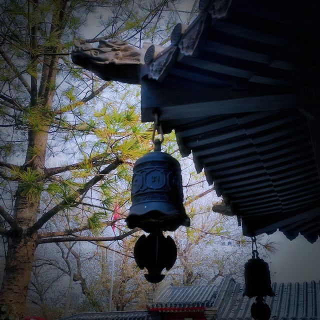 沈陽慈恩寺冬遊