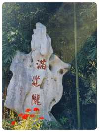 龍井與桂花的奇妙邂逅，暢遊杭州滿覺陇