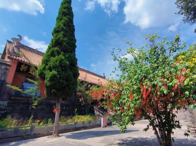 冬日好去處：成都金堂龍脊古道