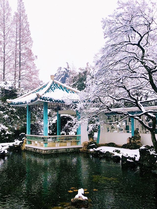 歲末聽雪落：逍遙津雪景