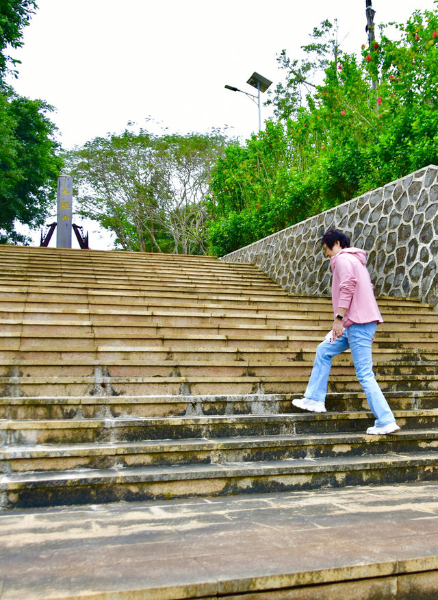 中國最大紅樹林，最美森林旅遊地