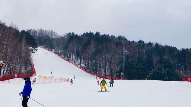 韓國江原道冬季雪景風光太震撼了，為你呈現獨屬於冬天的浪漫