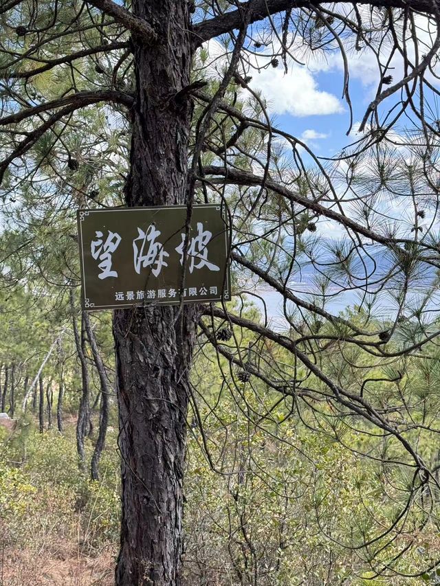 茶馬古道雲端彼岸太美了！求求你們別錯過