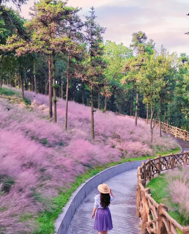 Nanjing Ginkgo Lake Amusement Park