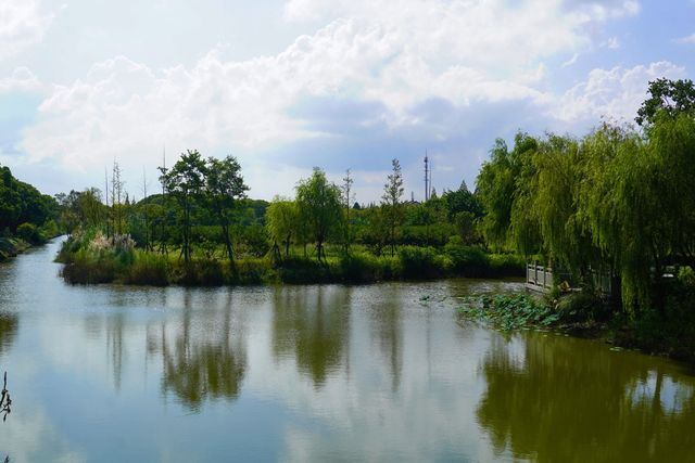 秋日打卡上海莊行（農藝）郊野公園