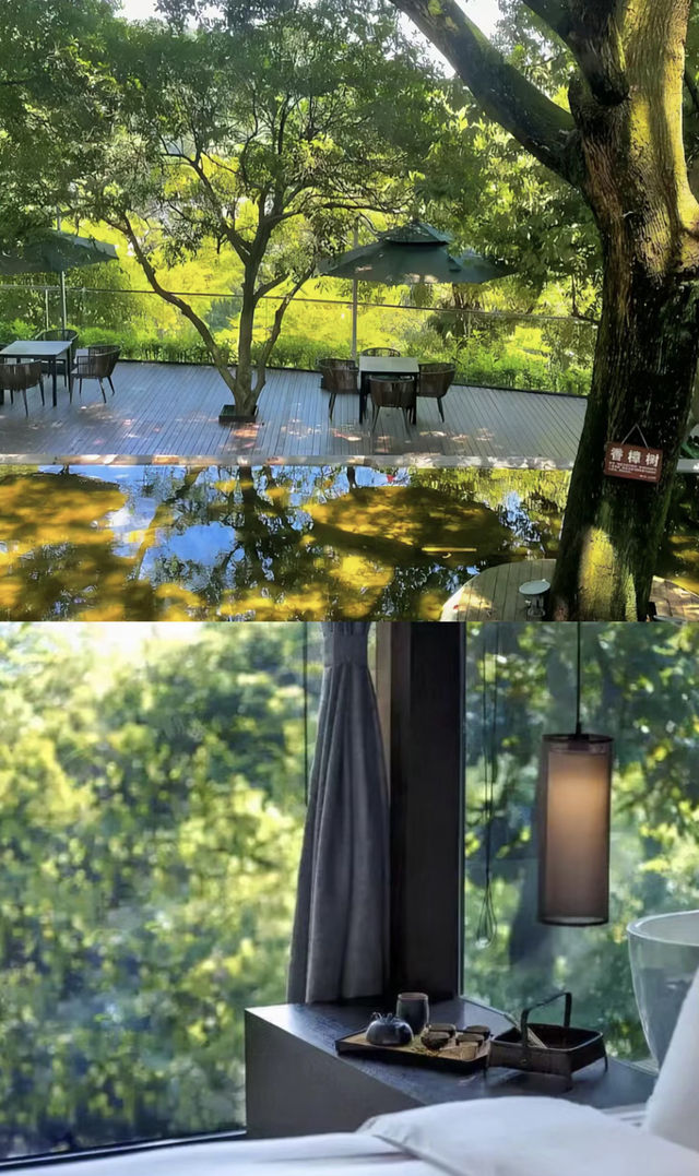 充滿茶香味的酒店