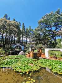 【大理古城】季羡林題匾 藏在古城裡的後花園